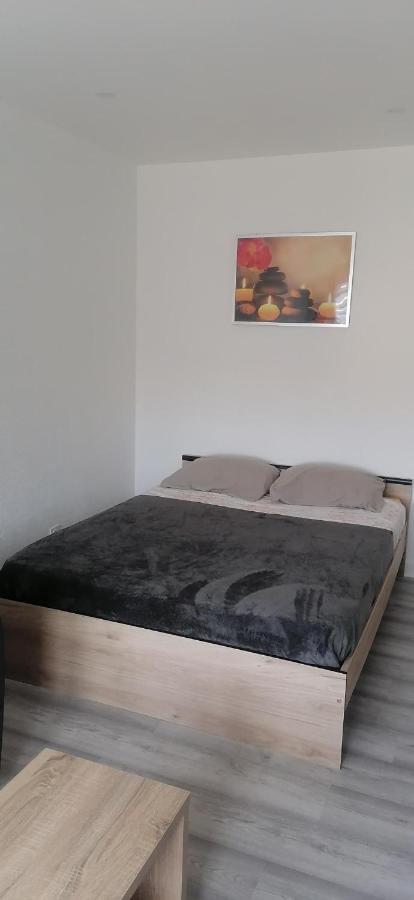 Appartement Avec Balcon Et Parking Prive Roanne Exterior foto
