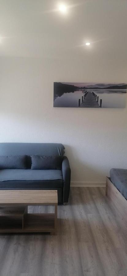 Appartement Avec Balcon Et Parking Prive Roanne Exterior foto